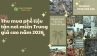 Thu mua phế liệu tận nơi miền Trung giá cao năm 2026