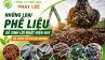Những loại phế liệu dễ sinh lời nhất hiện nay và cách tối ưu lợi nhuận Những loại phế liệu dễ sinh lời nhất hiện nay và cách tối ưu lợi nhuận