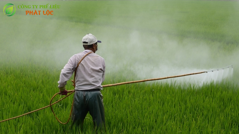 Thuốc trừ sâu ảnh hưởng hưởng trực tiếp tới đấy và nước
