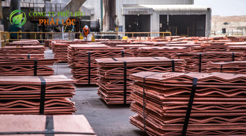 Những rủi ro thường gặp và lưu ý từ chuyên gia