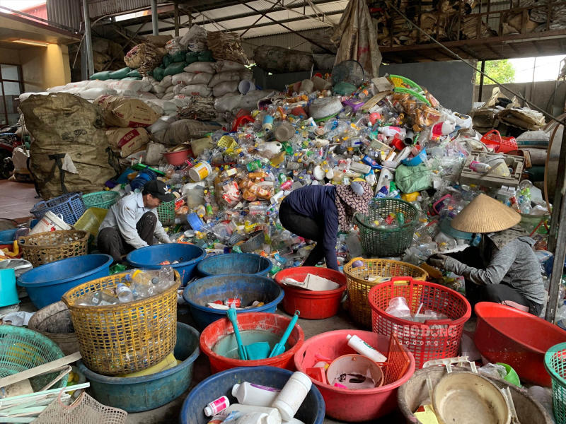 Thu gom và phân loại